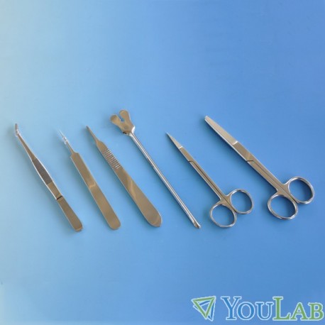 Kit de formation de suture Avec trousse de dissection 9 Instruments